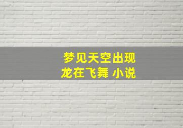 梦见天空出现龙在飞舞 小说